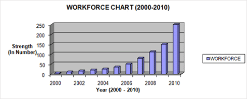 Workforce Chart (2000-2010)